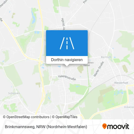 Brinkmannsweg Karte