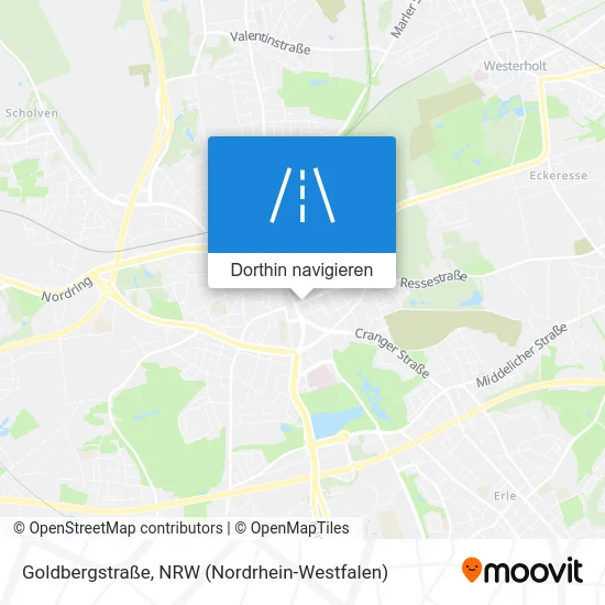 Goldbergstraße Karte