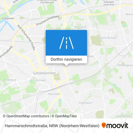 Hammerschmidtstraße Karte