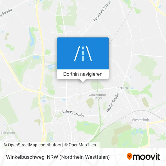 Winkelbuschweg Karte