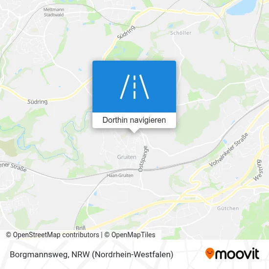 Borgmannsweg Karte