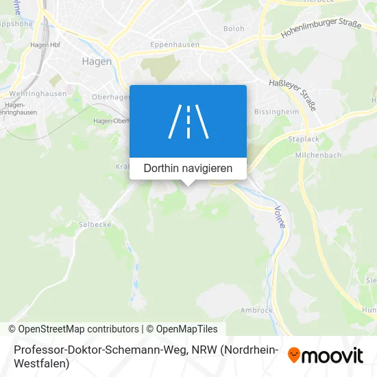 Professor-Doktor-Schemann-Weg Karte