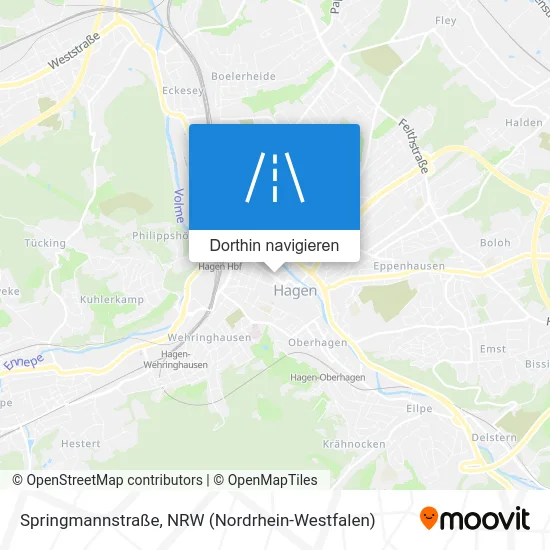 Springmannstraße Karte