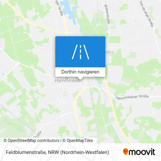 Feldblumenstraße Karte