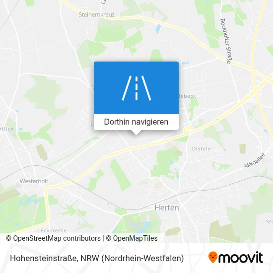 Hohensteinstraße Karte