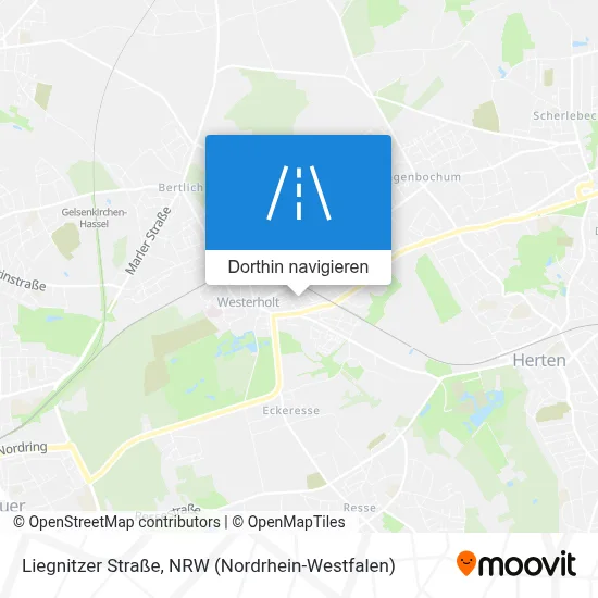 Liegnitzer Straße Karte