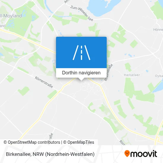Birkenallee Karte