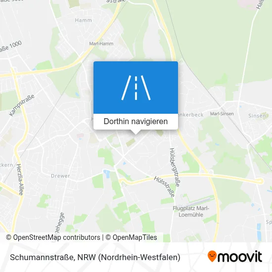 Schumannstraße Karte