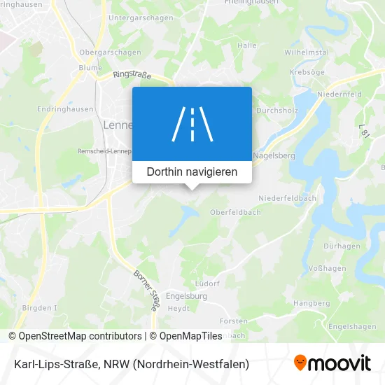 Karl-Lips-Straße Karte