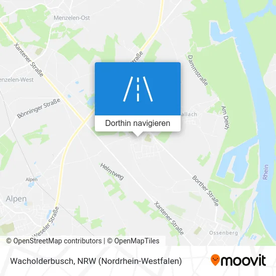 Wacholderbusch Karte