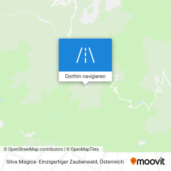 Silva Magica- Einzigartiger Zauberwald Karte