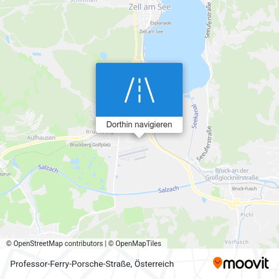 Professor-Ferry-Porsche-Straße Karte