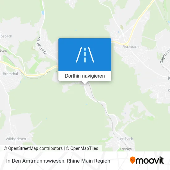 In Den Amtmannswiesen Karte