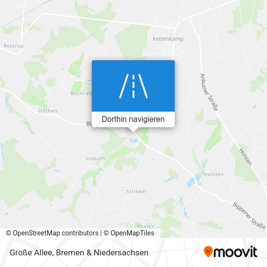 Große Allee Karte