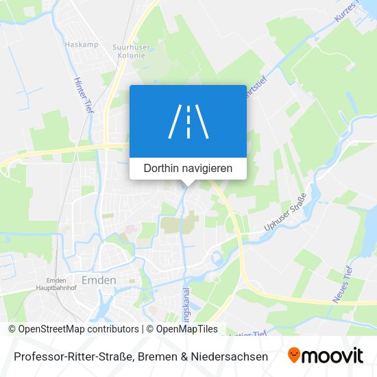 Professor-Ritter-Straße Karte