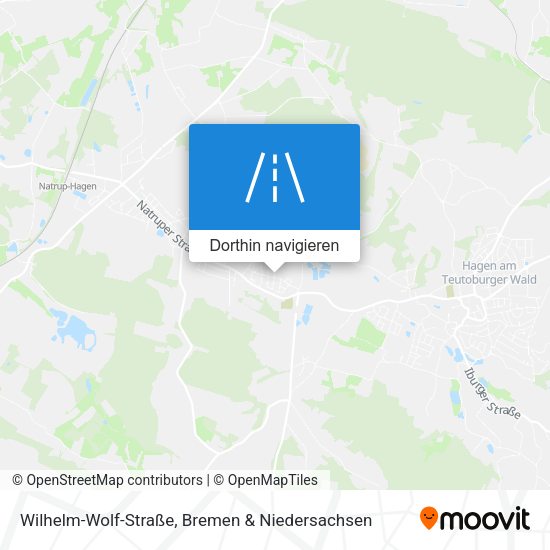 Wilhelm-Wolf-Straße Karte