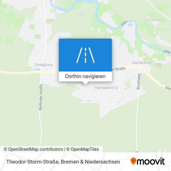 Theodor-Storm-Straße Karte