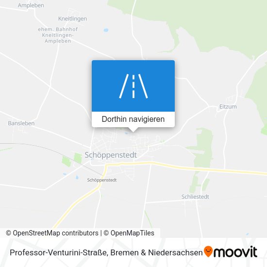 Professor-Venturini-Straße Karte
