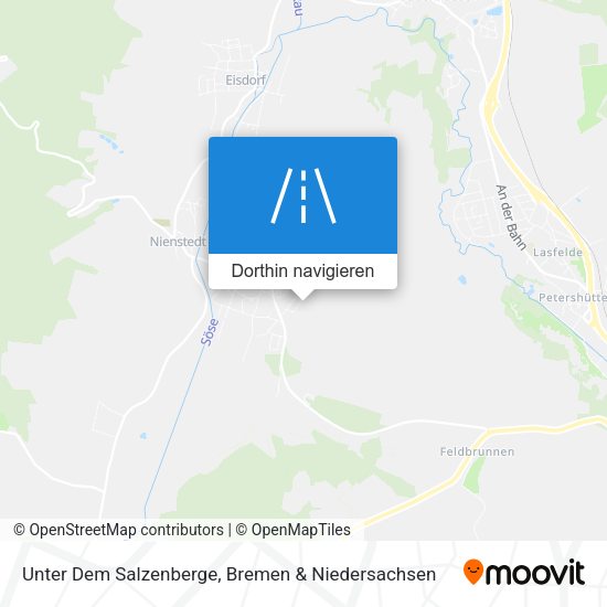 Unter Dem Salzenberge Karte