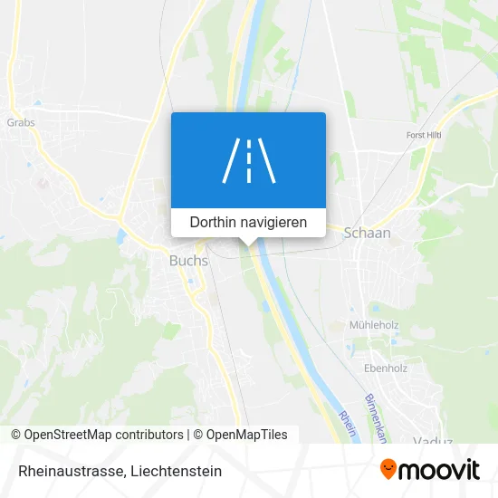 Rheinaustrasse Karte