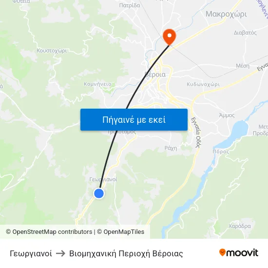 Γεωργιανοί to Βιομηχανική Περιοχή Βέροιας map