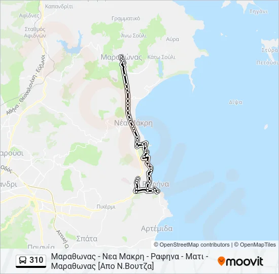 310 Bus Line Map