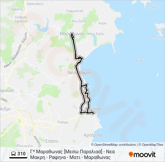 310 Bus Line Map