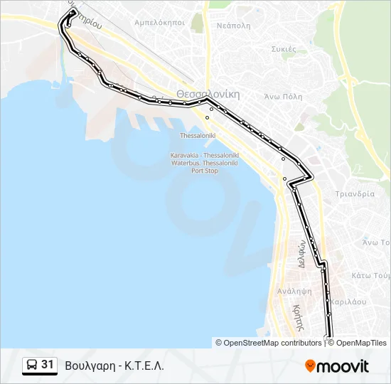 31 Bus Line Map