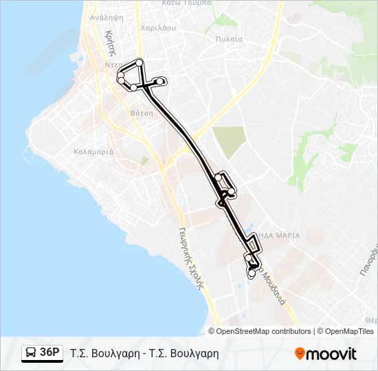 36P Bus Line Map