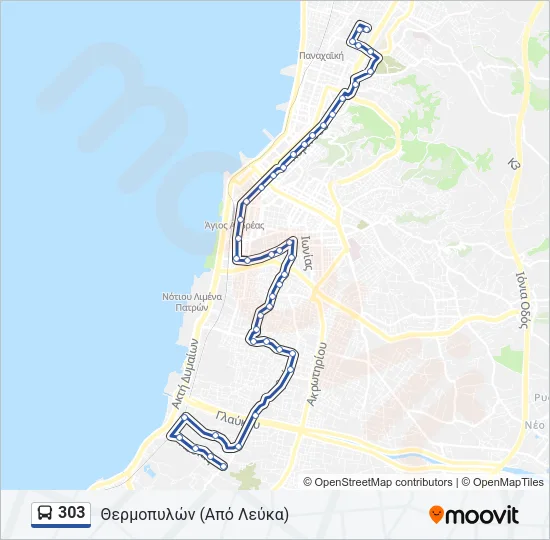 303 Bus Line Map