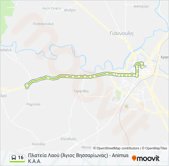 16 Bus Line Map