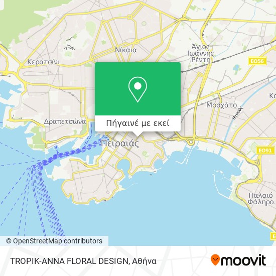 TROPIK-ANNA FLORAL DESIGN χάρτης