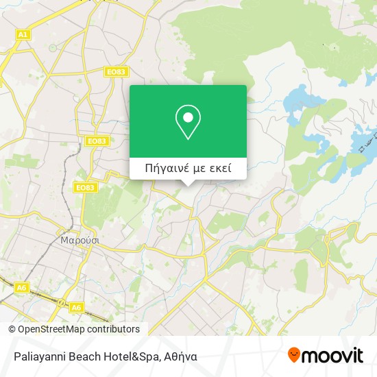 Paliayanni Beach Hotel&Spa χάρτης