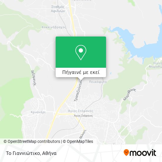 Το Γιαννιώτικο χάρτης