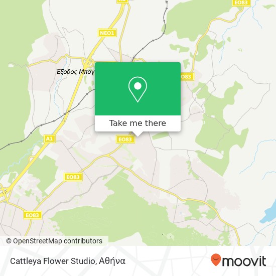 Cattleya Flower Studio χάρτης