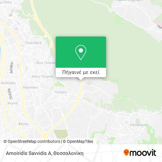 Amoiridis Savvidis A χάρτης