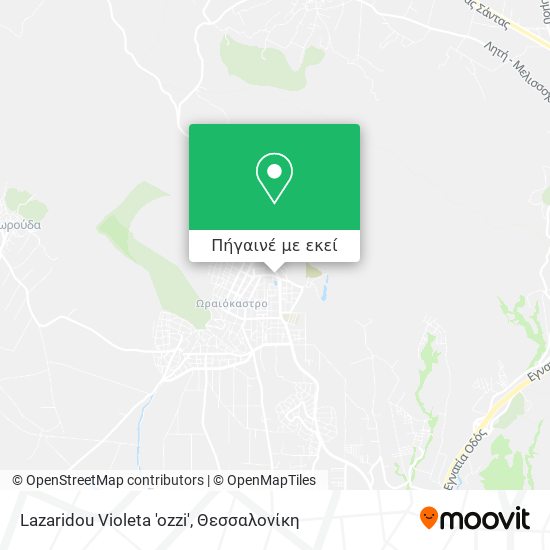 Lazaridou Violeta 'ozzi' χάρτης