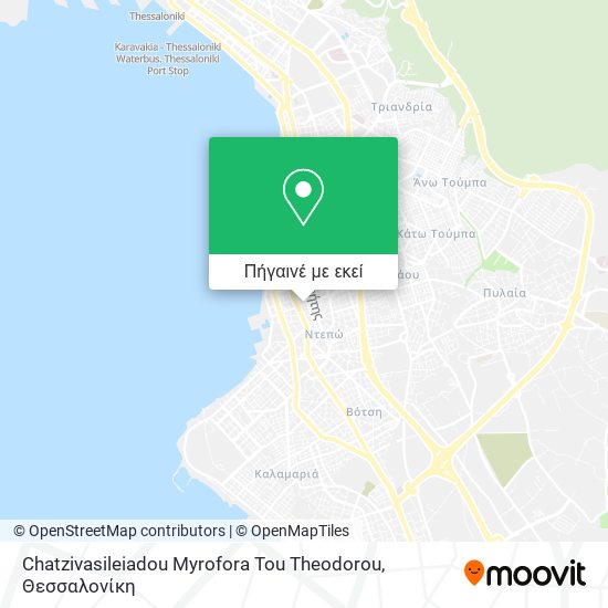 Chatzivasileiadou Myrofora Tou Theodorou χάρτης