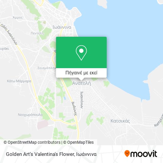 Golden Art's Valentina's Flower χάρτης