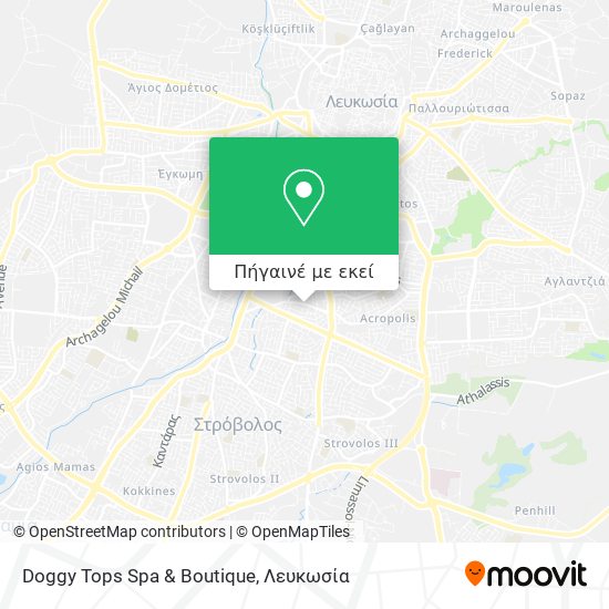 Doggy Tops Spa & Boutique χάρτης