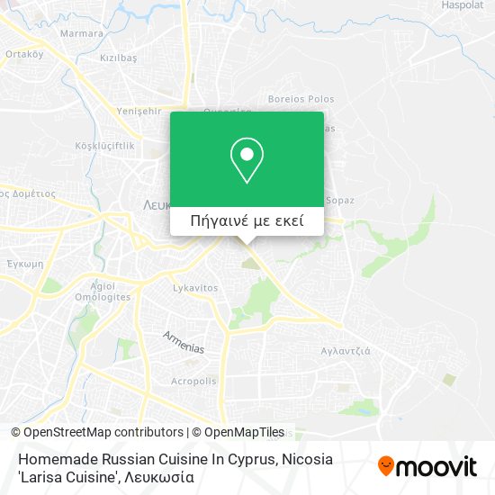 Homemade Russian Cuisine In Cyprus, Nicosia 'Larisa Cuisine' χάρτης