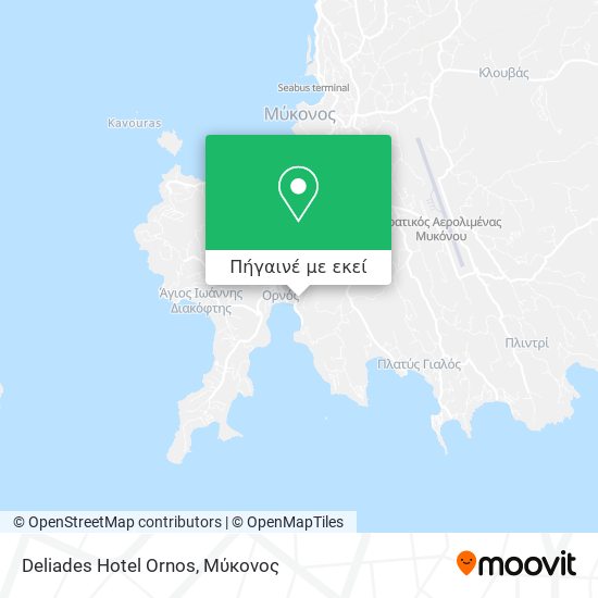 Deliades Hotel Ornos χάρτης