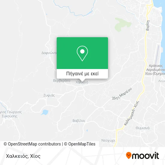 Χαλκειός χάρτης