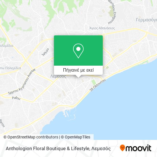 Anthologion Floral Boutique & Lifestyle χάρτης