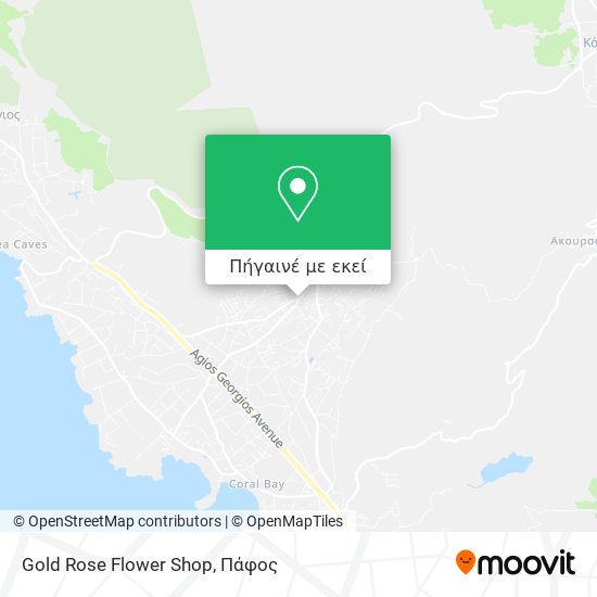 Gold Rose Flower Shop χάρτης
