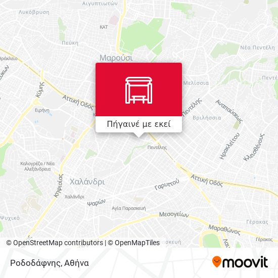 Ροδοδάφνης χάρτης