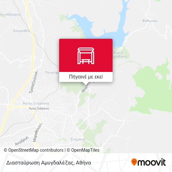 Διασταύρωση Αμυγδαλέζας χάρτης