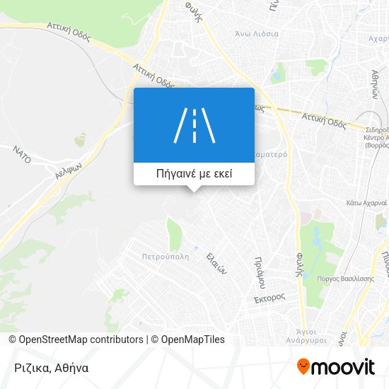 Ριζικα χάρτης