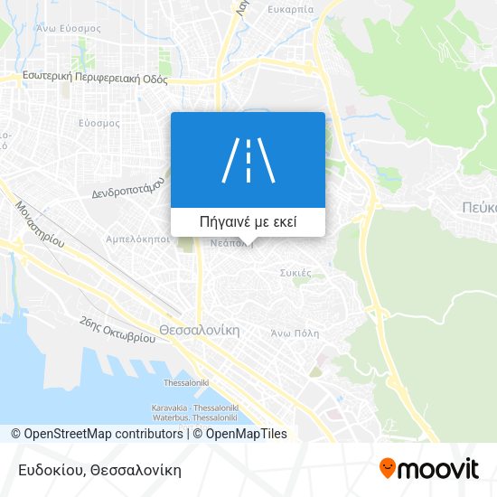 Ευδοκίου χάρτης