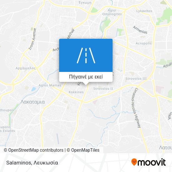 Salaminos χάρτης